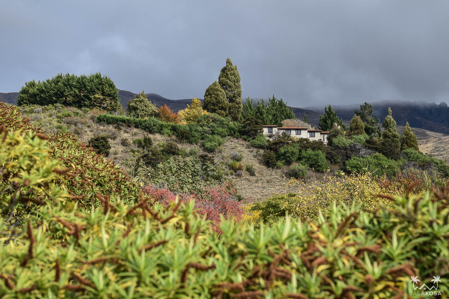 Colorful Central Otago & Southland