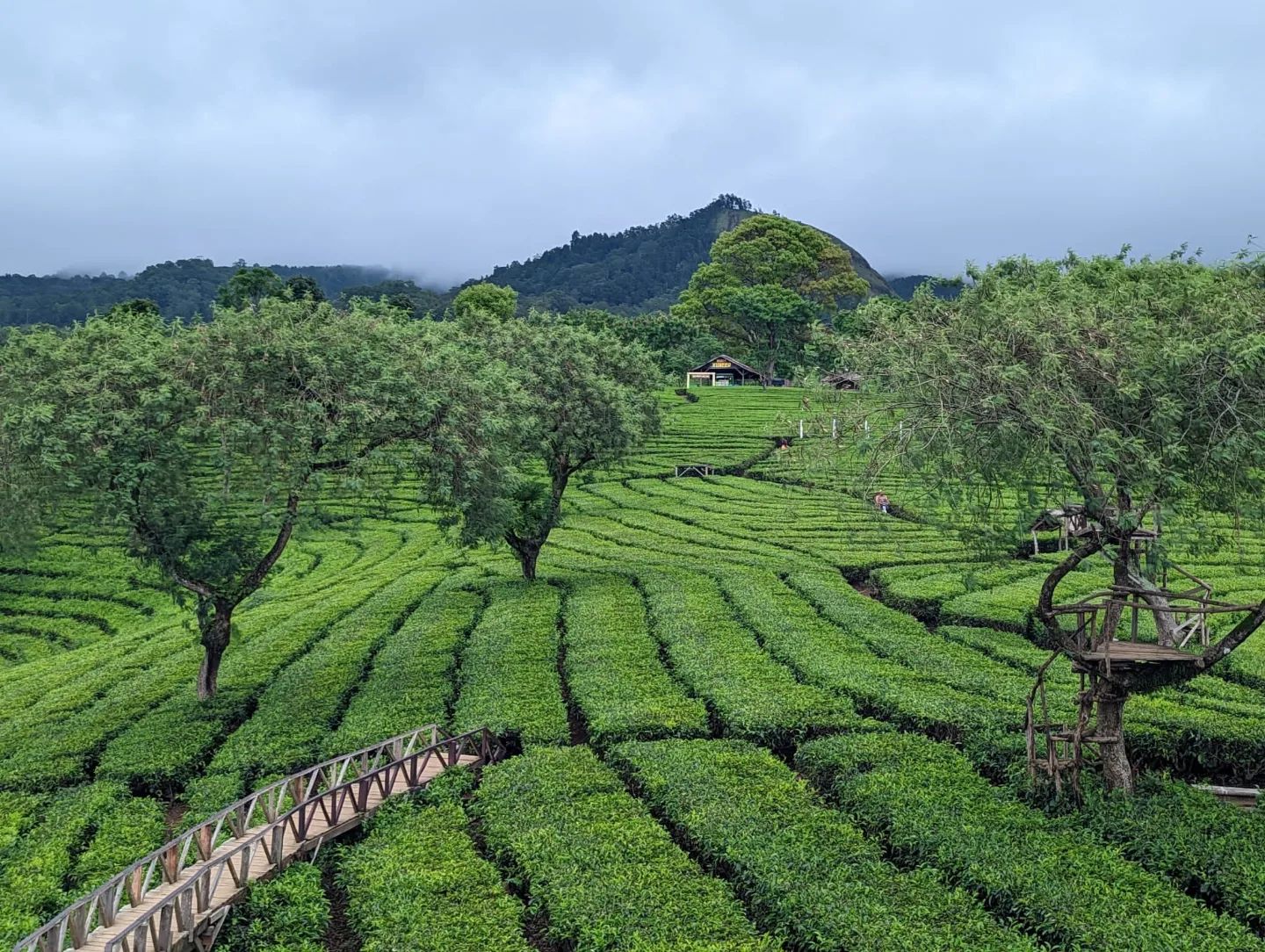 Indonézofilipínci 6