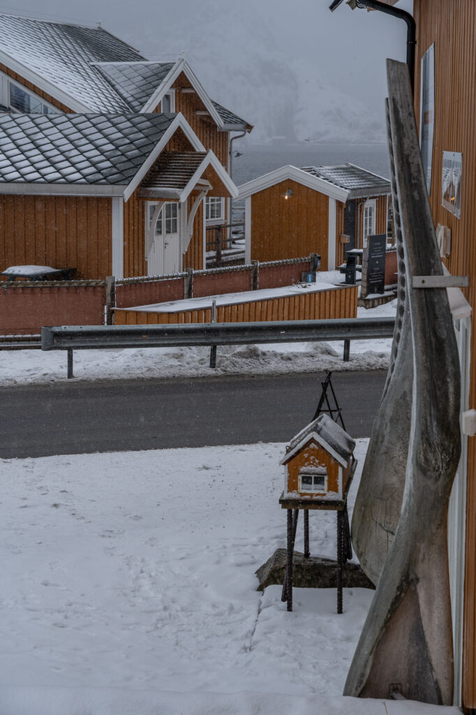 20240320 Norway 03 Lofoten