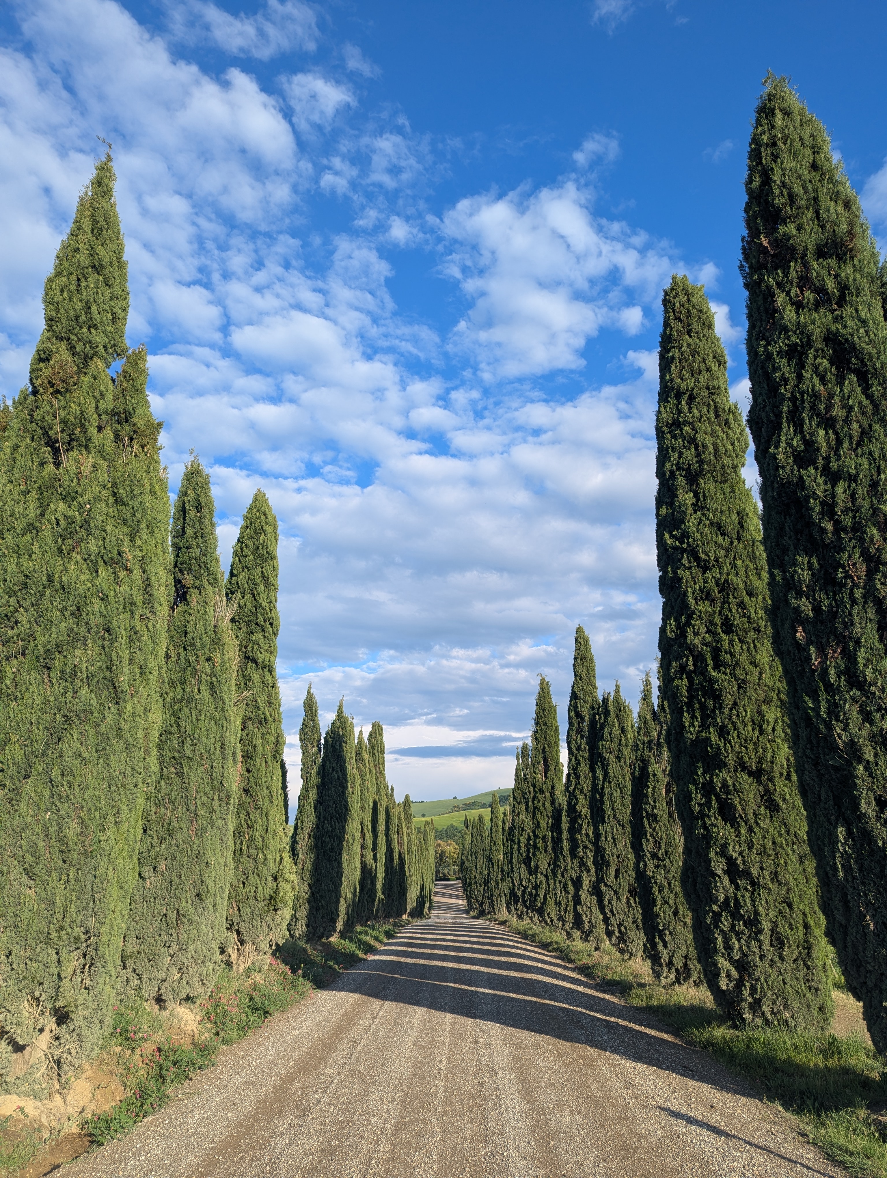 Giro per la pizza 10