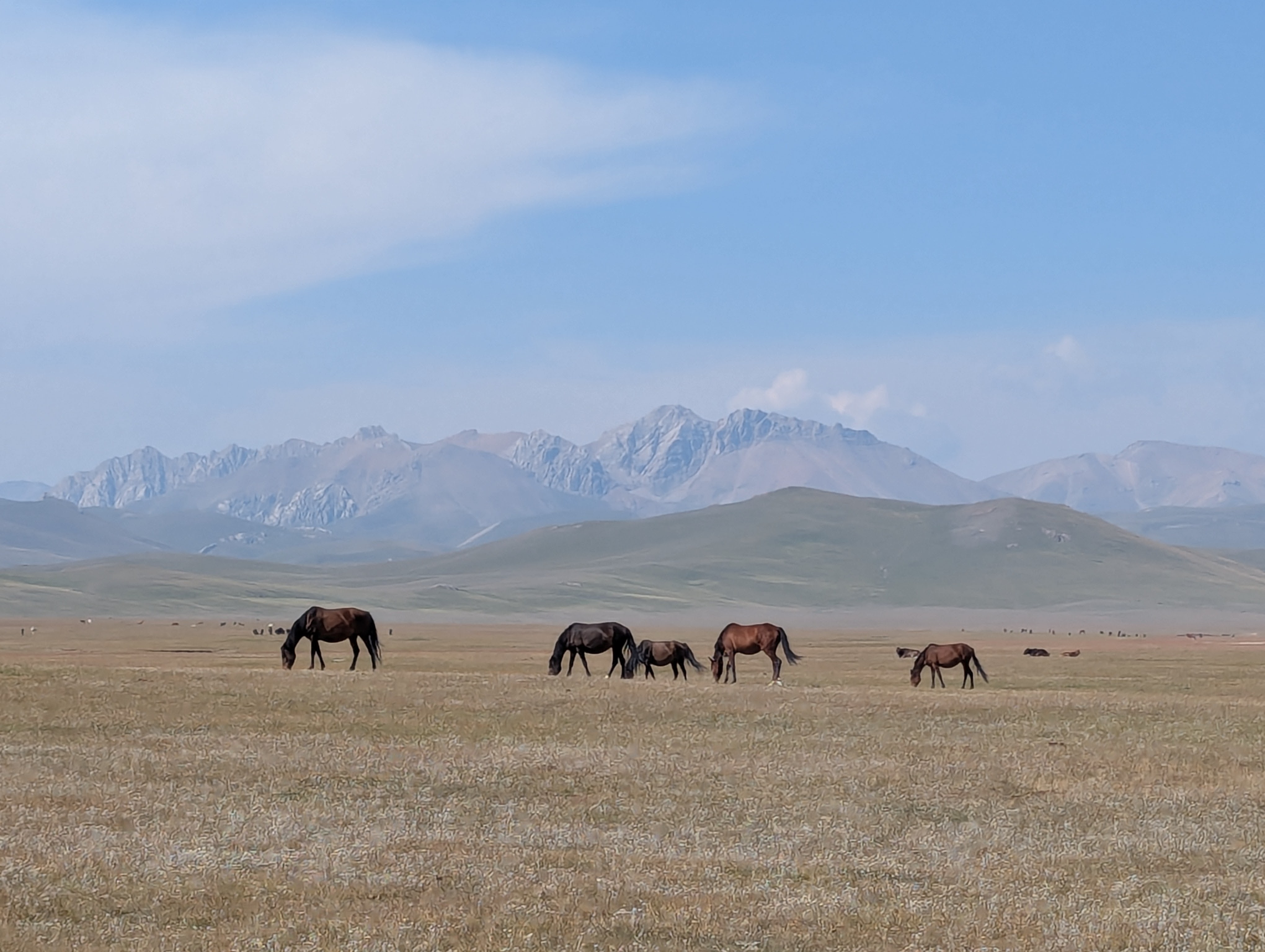 Kirgizské kočovanie 4