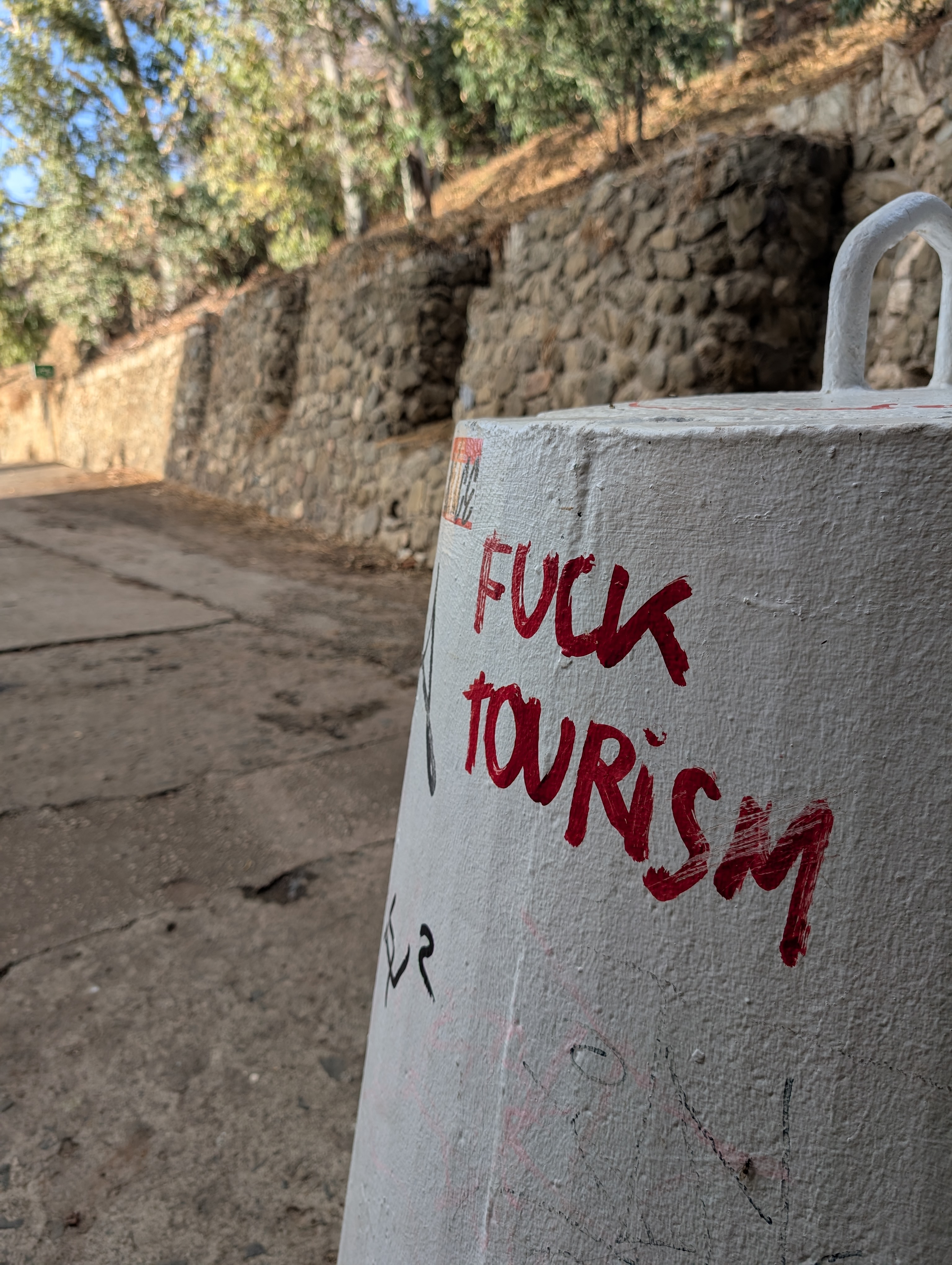 Bicicletas y jamón 1